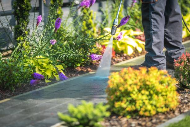Best House Exterior Washing  in Bell Gardens, CA